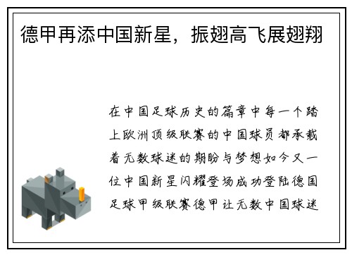 德甲再添中国新星，振翅高飞展翅翔
